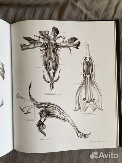 Книги по искусству