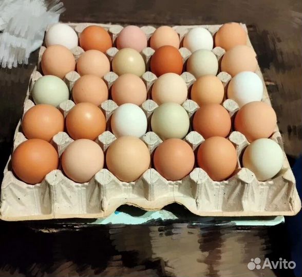 Домашние куриные яйца