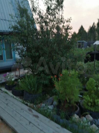 Дача 40 м² на участке 8 сот.