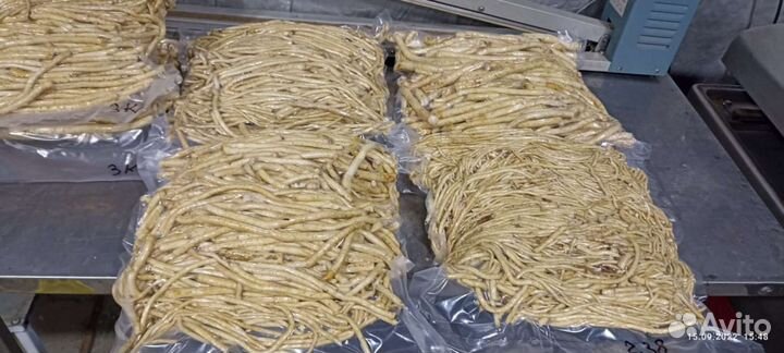 Хрен корень