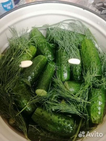 Огурцы малосольные