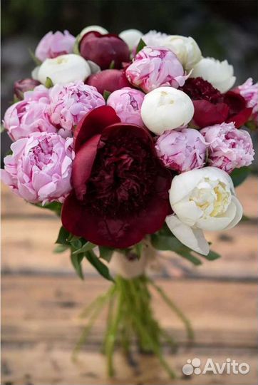 Пионы клубни