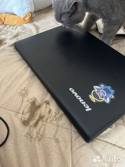 Ноутбук lenovo