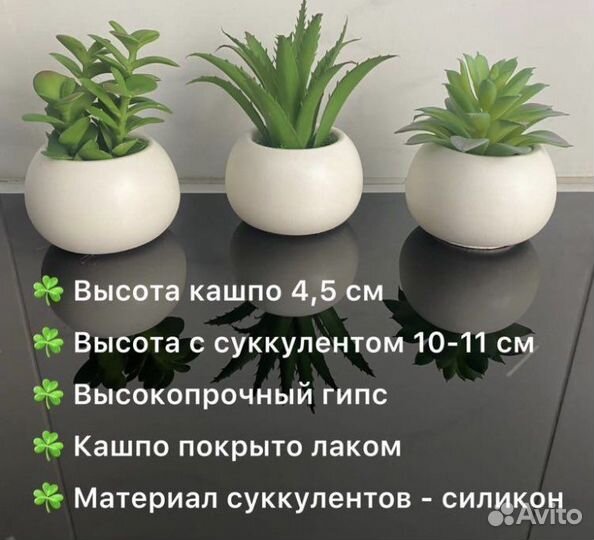 Кактусы и суккуленты искусственные
