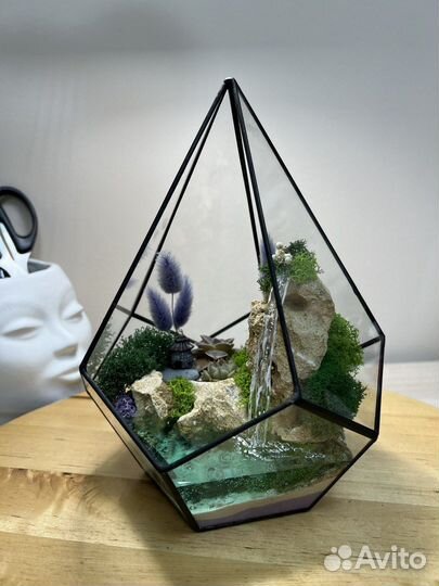 Флорариум из суккулентов