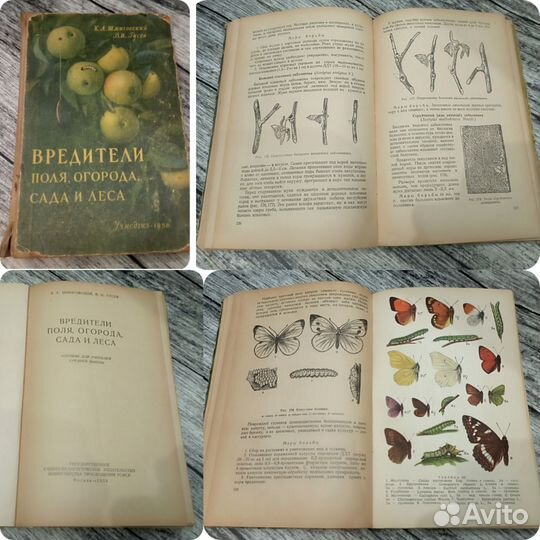 Книги СССР садоводство ч2