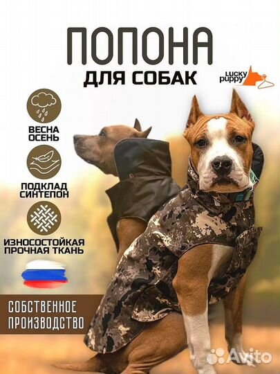 Костюм попона для собак