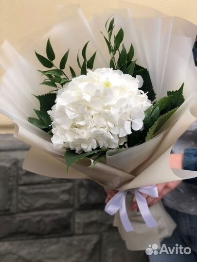51 роза с доставкой