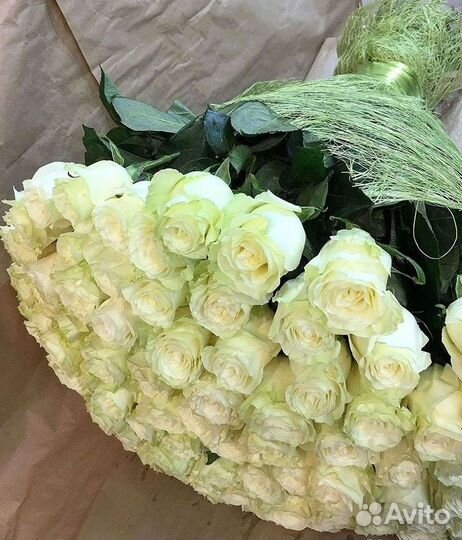 Высокие розы Доставка цветов