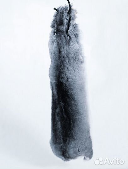 Шкурка шиншиллы 