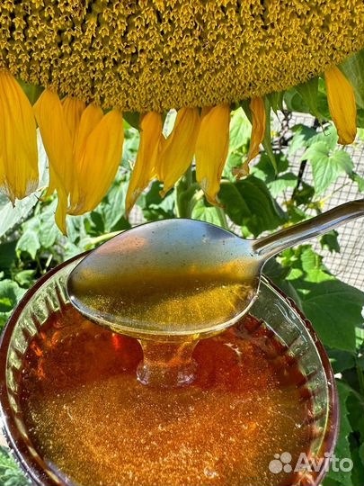 Мед самый лучший. 3 л/б.мёда-1300.качка 24.07.23