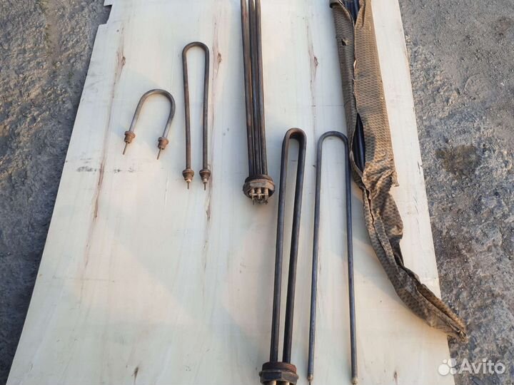 Тэн водяной