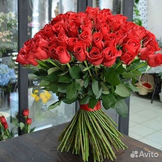 Розы гиганты 140 150 160 170 180 200