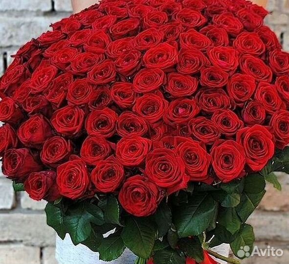 Розы Цветы Букеты 25 151 201 101 301 501 опт