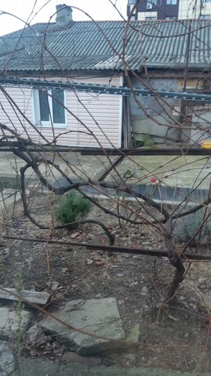 1-к. квартира, 25,5 м², 1/1 эт.