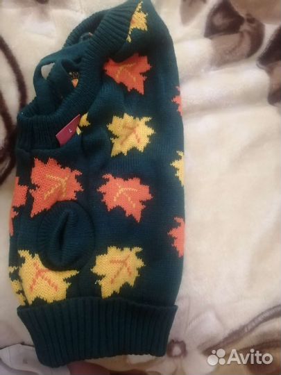 Одежда для собакт