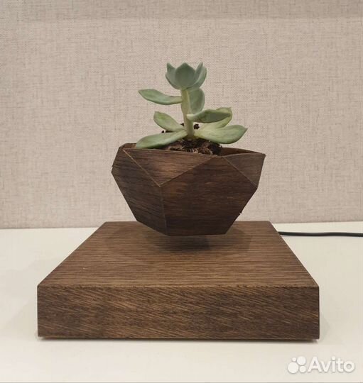 Левитирующий горшок