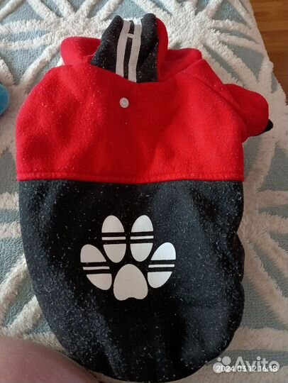 Одежда для собак