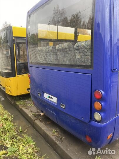 Междугородний / Пригородный автобус МАЗ 256, 2010
