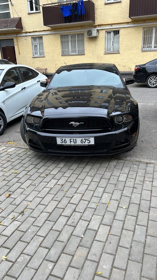 Ford Mustang: фото владельца