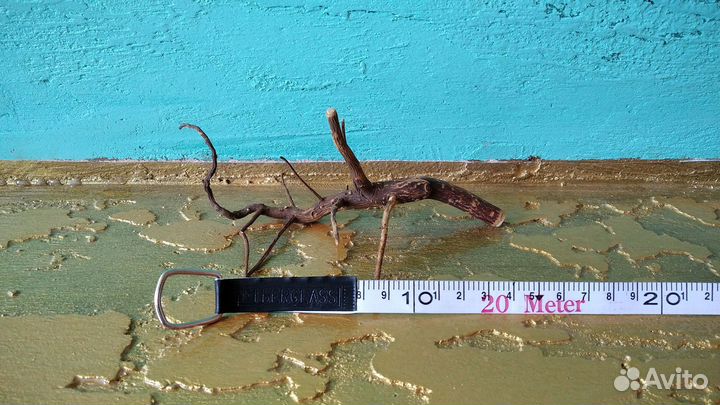 Коряги для аквариума