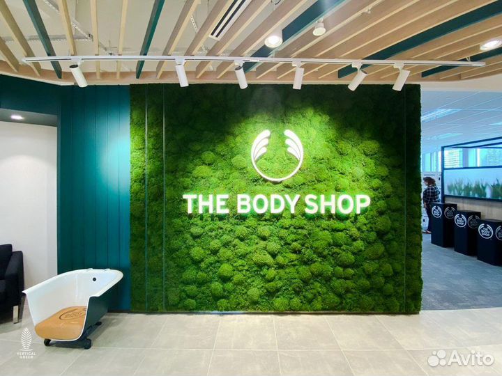 Стабилизированный мох.Логотип из мха ярко-зеленый