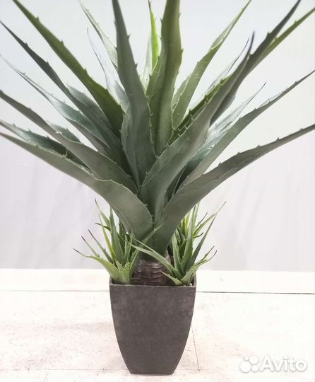 Искусственные растения