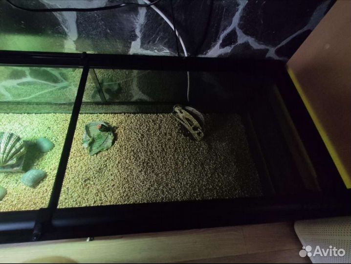 Террариум для рептилий