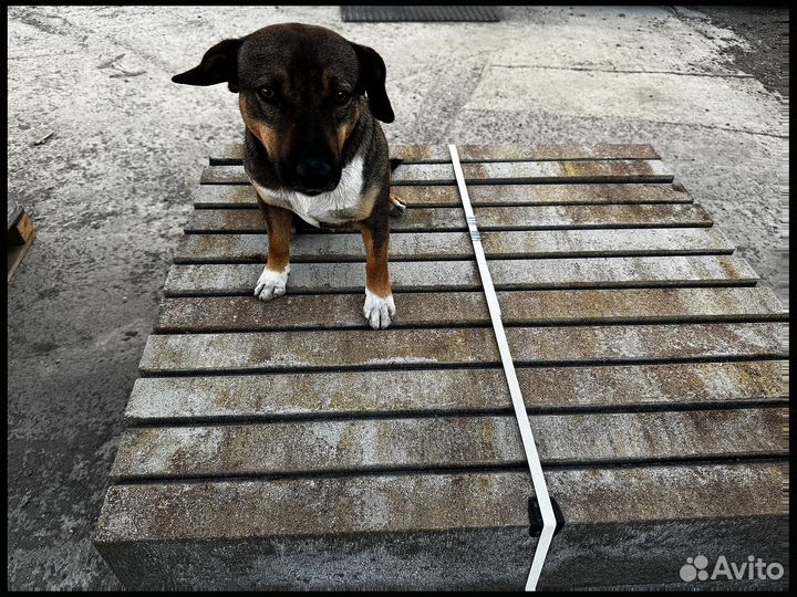 Брусчатка минимальный объем 120 м2