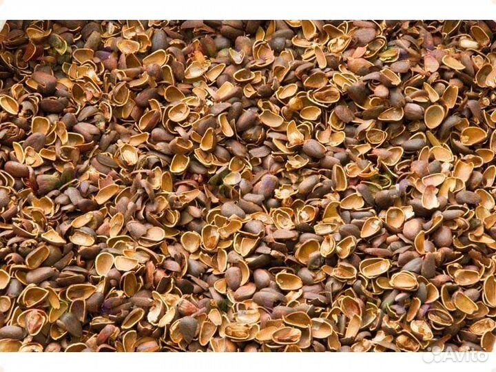 Скорлупа Кедрового Ореха,Мульча, Доставка выгрузка