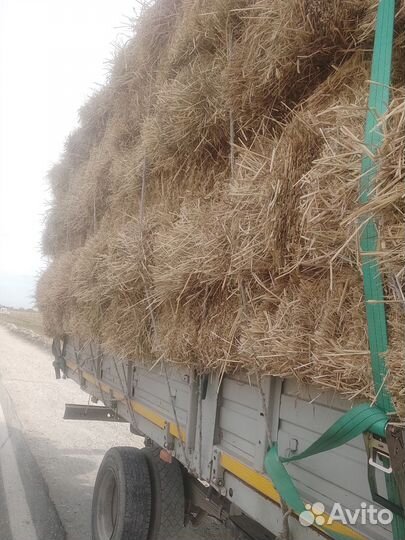 Салома рисовая