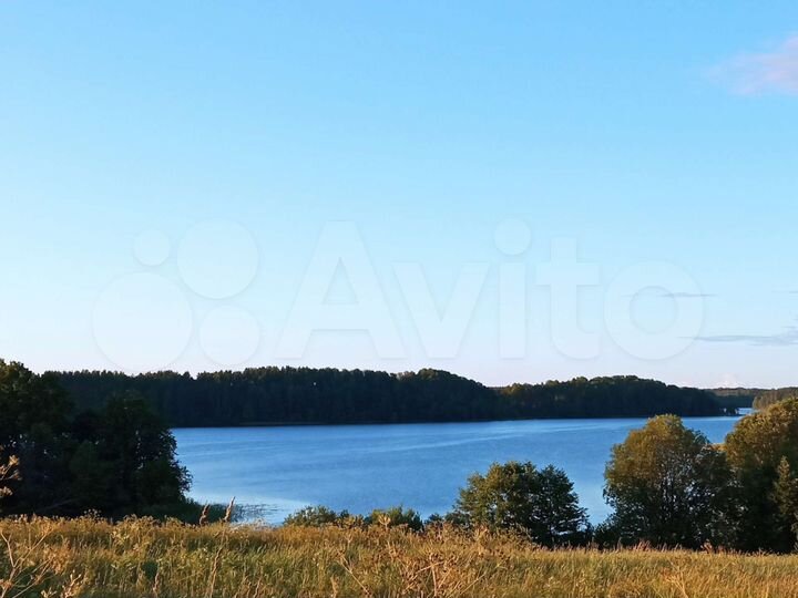 Участок 4,8 га (ИЖС)