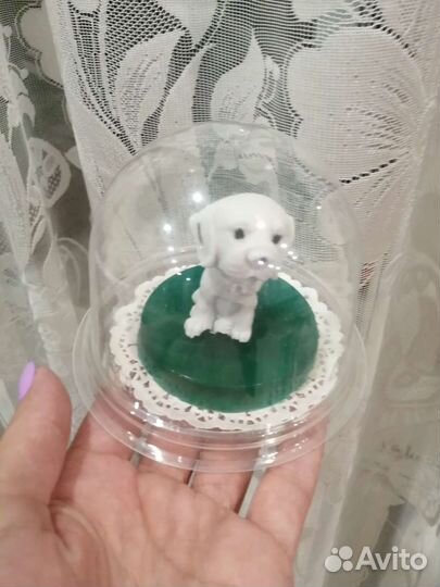 Мыльные собаки