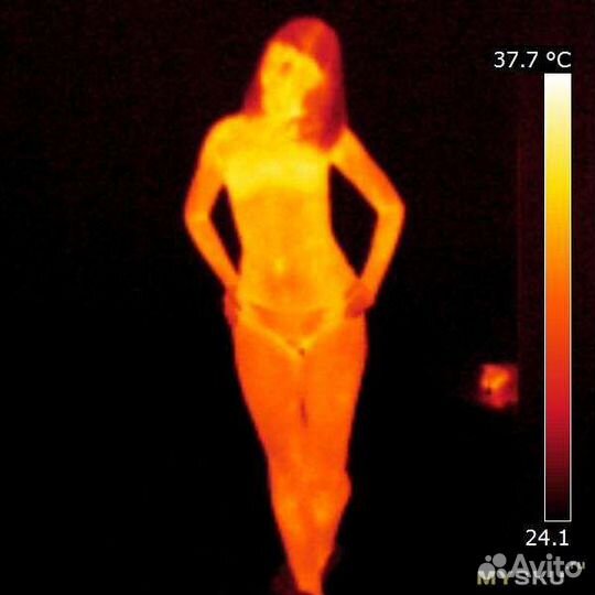 Тепловизор, Обследование тепловизором, Энергоаудит