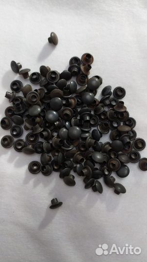 Хольнитены черные