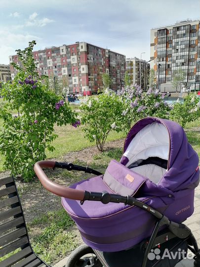 Коляска 2 в 1 Verdi Optima