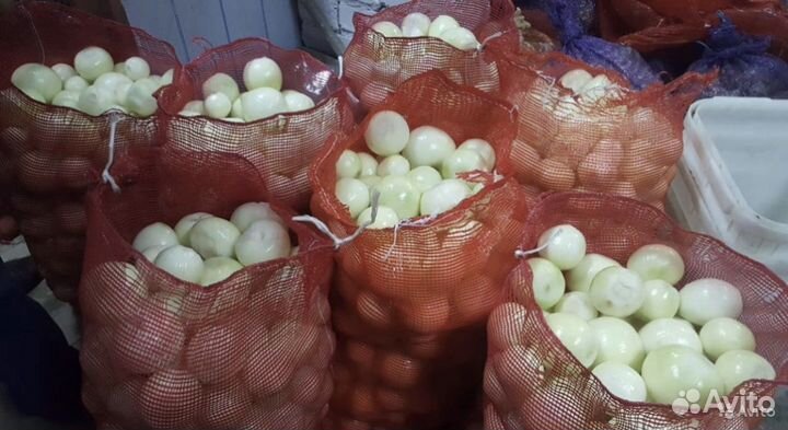 Лук репчатый свежий очищенный