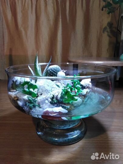 Светящийся подарок- флорариум