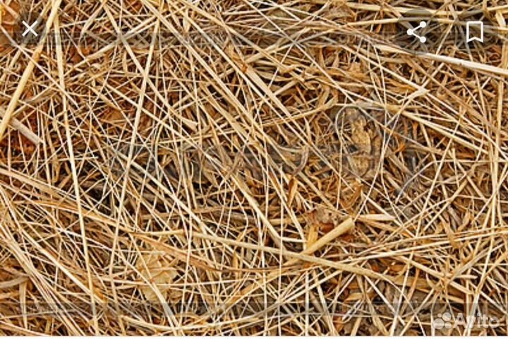 Сено, в мешках, сухое