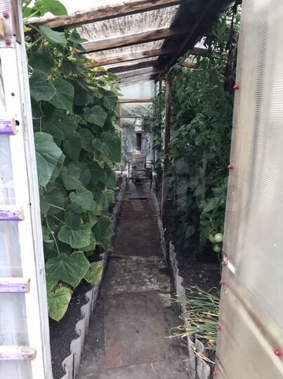 Дача 20 м² на участке 6 сот.