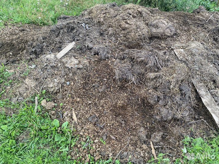 Навоз коровий