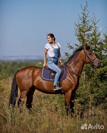 Конные прогулки, катание на санях и каретах
