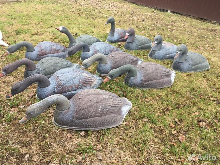 Чучела гусей для охоты бу