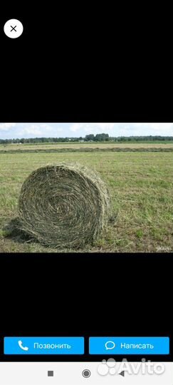 Сено в рулонах