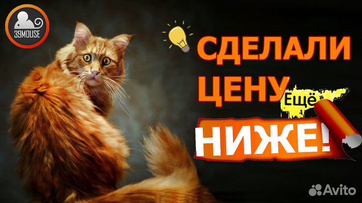 Идеальный Компьютер AMD A8 для бизнеса и офиса