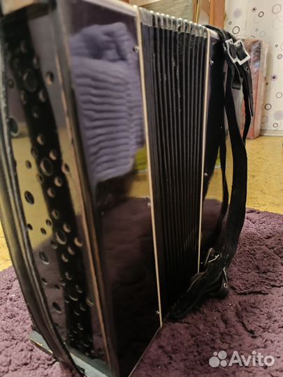 Баян ленинград