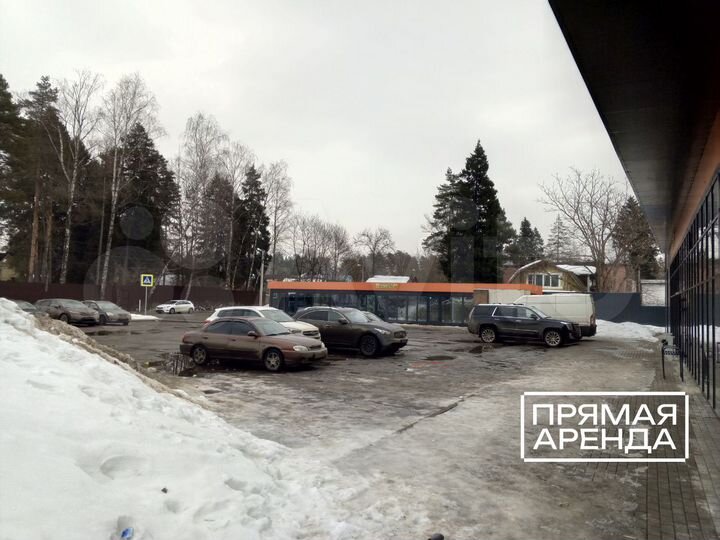 Сдам помещение свободного назначения, 38 м²