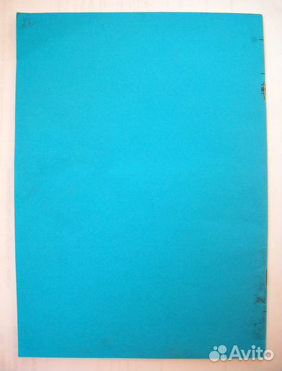 Совершенствование деятельности руководителя овд