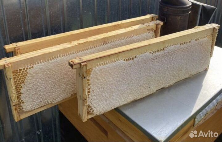 Мед Белая Акация /Акациевый мед