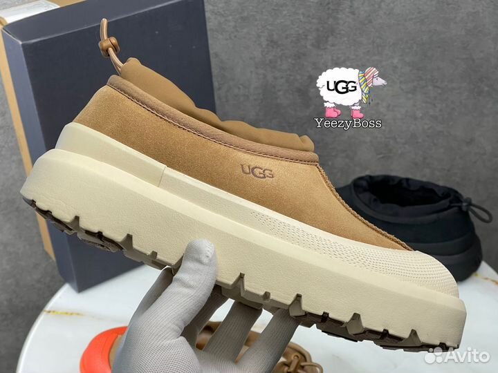 Ботинки женские зимние Ugg Tasman Hybrid